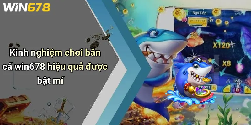 Kinh nghiệm chơi bắn cá win678 hiệu quả được bật mí